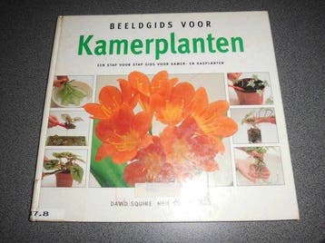 BEELDGIDS VOOR KAMERPLANTEN - Squire, Verzenden