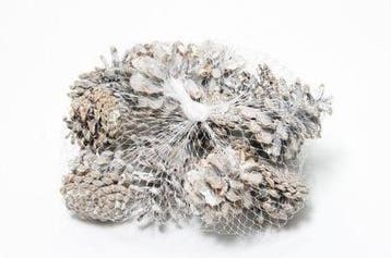 Dennenappels Oostenrijkers Blue Pine Frosted 15 stuks, Hobby en Vrije tijd, Nieuw