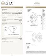 1 pcs Diamant (Natuurlijk gekleurd) - 1.02 ct - Markies -