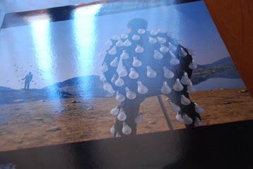 Pink Floyd - DELICATE SOUND OF THUNDER + UMMAGUMMA - Diverse, Cd's en Dvd's, Nieuw in verpakking