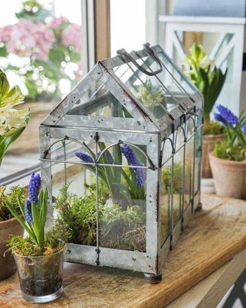 Ornement décoratif - Mini-serre