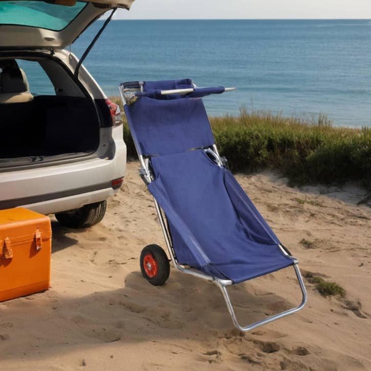 vidaXL Strandtrolley met wielen draagbaar en inklapbaar, Maison & Meubles, Maison & Meubles | Autre, Envoi