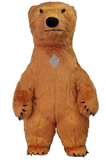 KIMU® Mega Opblaasbare Mascotte Beer Bruin 2 Meter Beren Kos, Ophalen of Verzenden