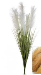 Gynerium Pluimen Wit Kunstbloem 100 cm per stuk, Nieuw