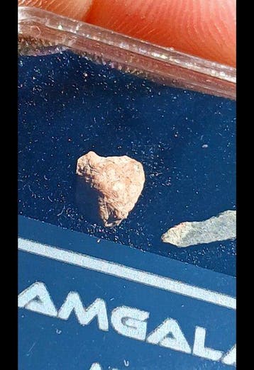Amgala 001 Olivine-phyric Shergottiet Marsmeteoriet - 0.24 g, Verzamelen