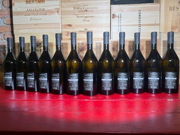 2021 x6 Friulano & 2021 x6 Malvasia, Paolo Caccese - Collio, Nieuw