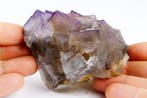 Fluorite fantôme - TOP - grande taille - Hauteur : 9.1 cm -