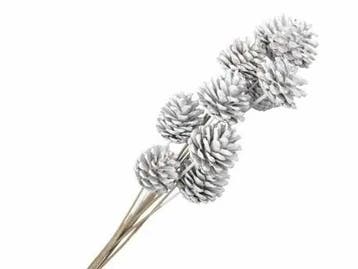 Dennenappels op stick bijsteker White 50 cm 10 stuks, Nieuw