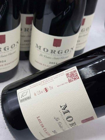 2025 Louis Claude Desvignes La voûte Saint-Vincent -