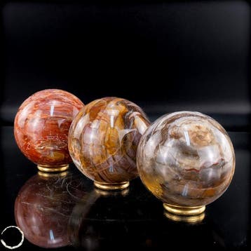 Versteend hout bolletjes-set – Exclusieve