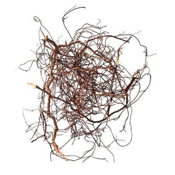 Wio Mini Root, Verzenden, Nieuw