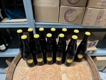 Westvleteren - twaalf - 33cl - 12 flessen, Nieuw