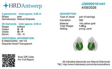 Zonder minimumprijs - 2-delige sieradenset 14k geel goud -