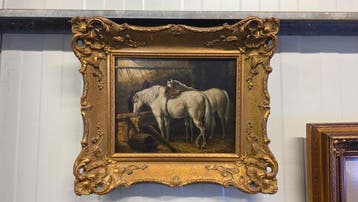 Paarden op stal