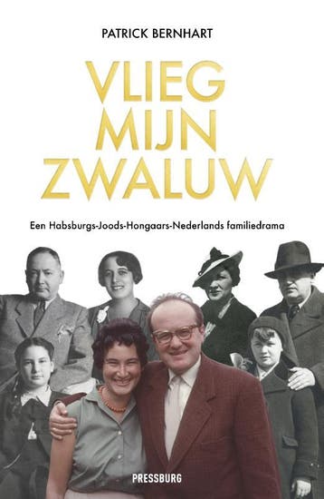 Vlieg, Mijn Zwaluw | Patrick Bernhart | Nieuw, Verzenden, Patrick Bernhart