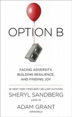 Option B 9780753548288 Sheryl Sandberg, Verzenden, Zo goed als nieuw, Sheryl Sandberg