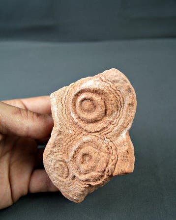 Spectaculaire stromatolieten uit de woestijn - Fossiele