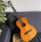 Höfner - Folk de Concert - Micro Piezzo Signée Carton - -, Nieuw