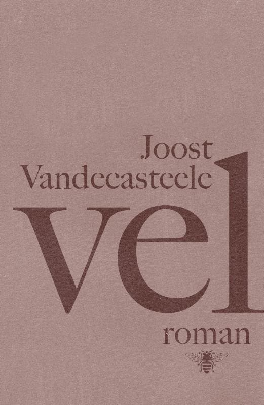 Vel 9789085424499 Joost Vandecasteele, Livres, Romans, Envoi