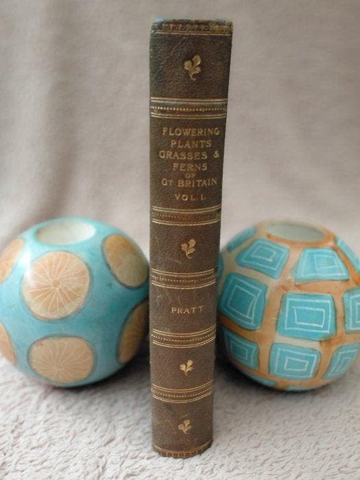 Anne Pratt - Anne Pratt-Flowering Plants, Grasses and Ferns, Antiquités & Art, Antiquités | Livres & Manuscrits