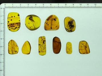 Birmese Barnsteen 10 stukken 13.54 gramm met