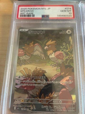 Pokémon - 2 Card - Spearow, Tortank, Ting-Lu ex Foil,