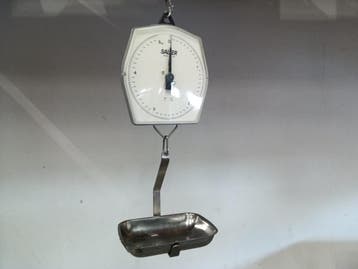 Salter 235-10S Hangweegschaal – 100 g tot 5 kg, Nieuw