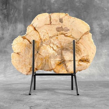 Prachtige plak versteend hout op een op maat gemaakte