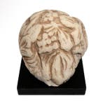 Oud-Romeins Marmer Architectonisch hoogreliëf van een