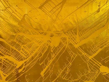 Reinhard Sommer - Gold 0313 XXL