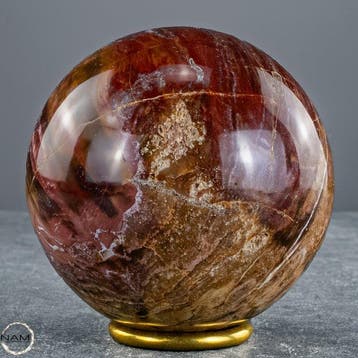 Natuurlijk versteend hout als bol – Intense houtnering in