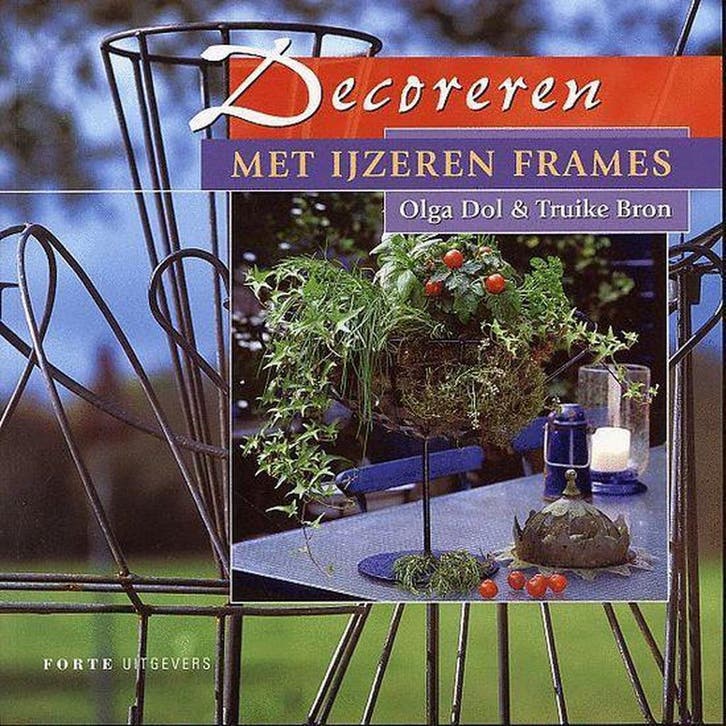DECOREREN MET IJZEREN FRAMES 9789058772244 O. Dol, Boeken, Hobby en Vrije tijd, Gelezen, Verzenden