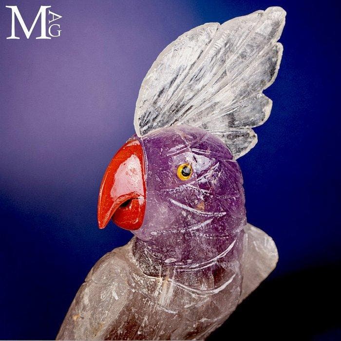 Collectie vogels: Vleugelde pracht. Amethist papegaai-beeld, Verzamelen, Mineralen en Fossielen