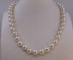 Halsketting 9,5×10 mm Akoya parels, Nieuw