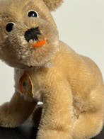 Steiff: Mopsy, 1968, 13cm - Teddybeer - 1960-1970 -
