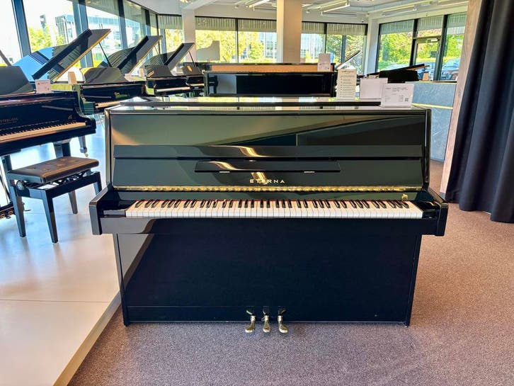 Eterna ERC10 (1999), Muziek en Instrumenten, Overige Muziek en Instrumenten, Zo goed als nieuw, Verzenden