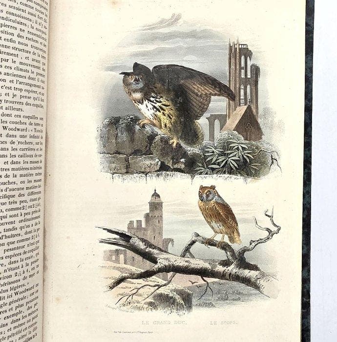 Buffon - Oeuvres complètes par M. A. Richard - 1854, Antiek en Kunst, Antiek | Boeken en Manuscripten