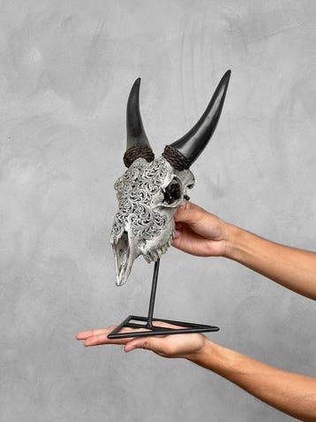 SANS PRIX DE RÉSERVE - Crâne de chèvre gris sculpté - Motif