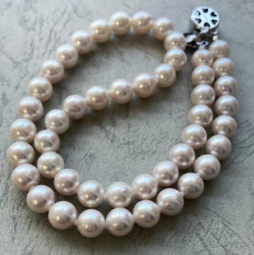 Halsketting Zilver Parel - PSLAkoya6.0-7.0mm, Handtassen en Accessoires, Nieuw
