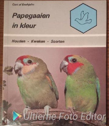 Papegaaien in kleur - Enehjelm, Verzenden