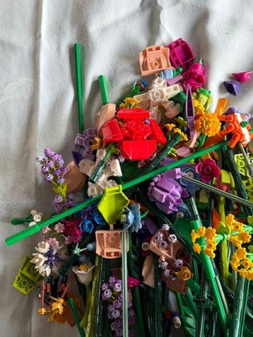 Lego Briques - Icons - LEGO Icons Wilde Bloemen Boeket