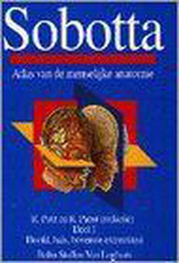 ATLAS V.D. MENSELIJKE ANATOMIE DL 1 9789031317325 Sobotta, Livres, Verzenden, Sobotta
