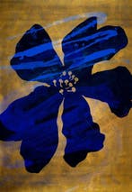 Lupo - Urban Jungle 419 - Certificated - Real Gold - XXL