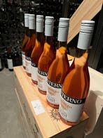 2023 Conterno Nervi, Rosato - Piëmont - 6 Flessen (0.75, Nieuw