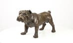 Beautiful substantial sculpture - sculptuur, ENGLISH BULLDOG, Antiek en Kunst