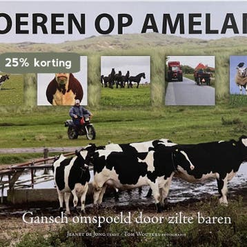 Boeren op Ameland 9789079945047 J.F. de Jong, Verzenden, Zo goed als nieuw, J.F. de Jong
