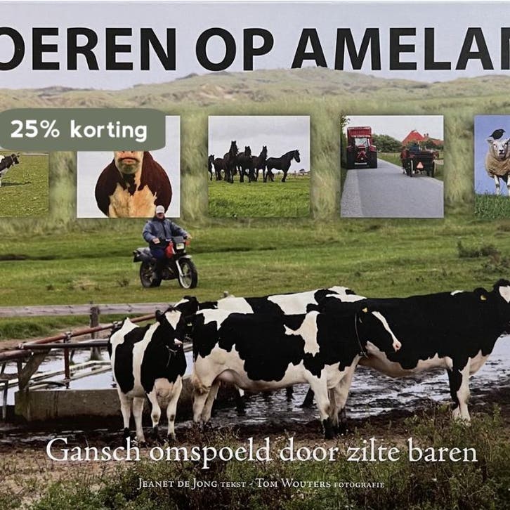 Boeren op Ameland 9789079945047 J.F. de Jong, Livres, Science, Envoi