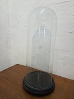 Globe - stolp - antiek - 1901-1920 - Grande antique cloche
