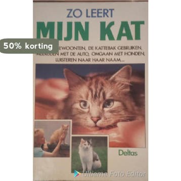 Zo leert mijn kat 9789024351732 S. Theilig, Verzenden, S. Theilig