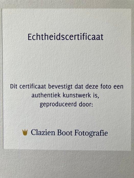 Clazien Boot Fotografie - Uienbollen op een voetstuk, Antiquités & Art, Art | Objets design